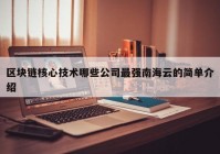 区块链核心技术哪些公司最强南海云的简单介绍